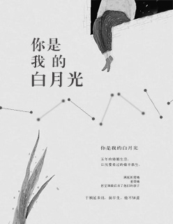 小说你是我的白月光